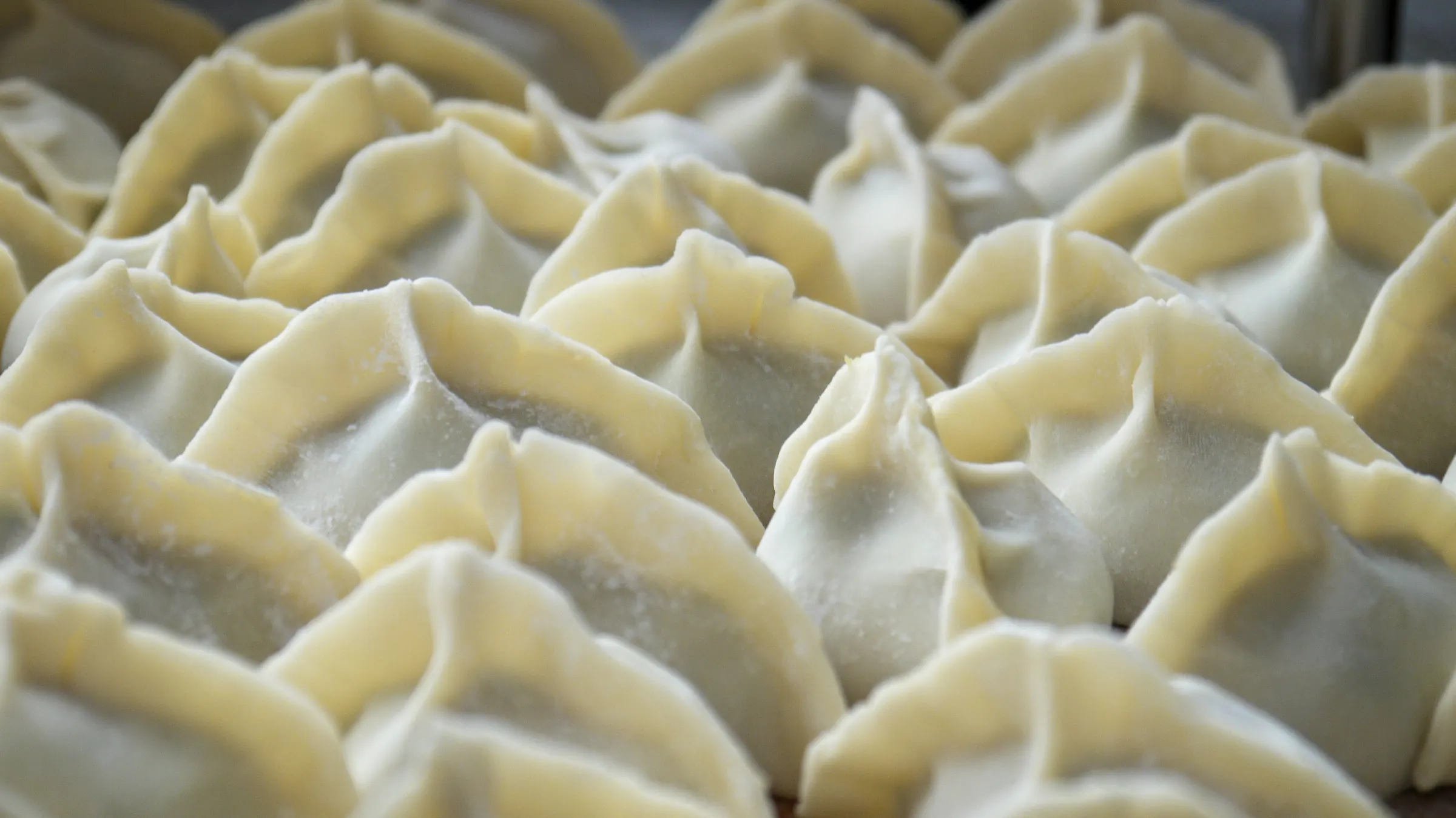 Rows of freshly folded dumplings, dusted with flour